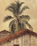 Frederic E.Church, Palm Tres and Housetops,Ecuador